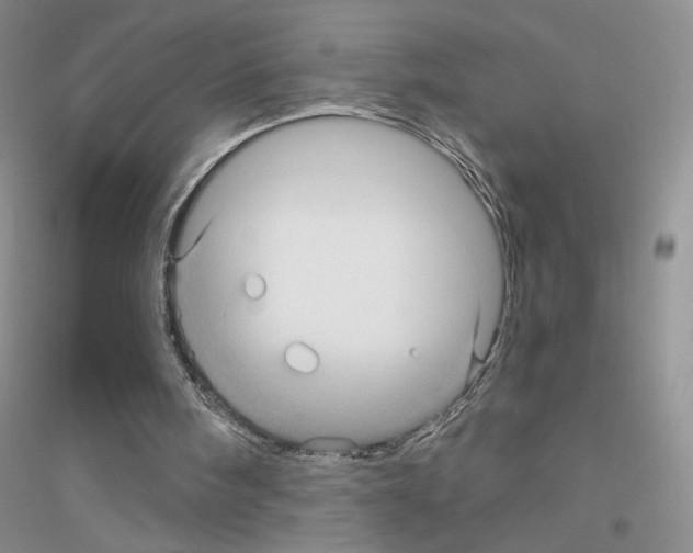 X0000116890098201002021217