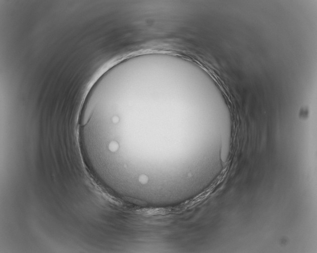 X0000116890100201002021217