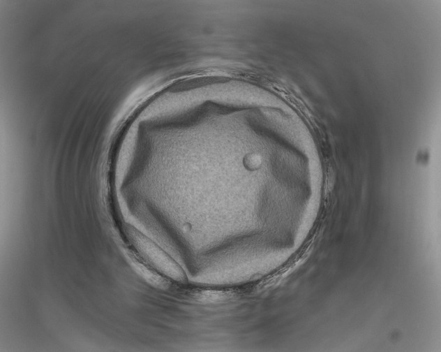 X0000116890101201002021217