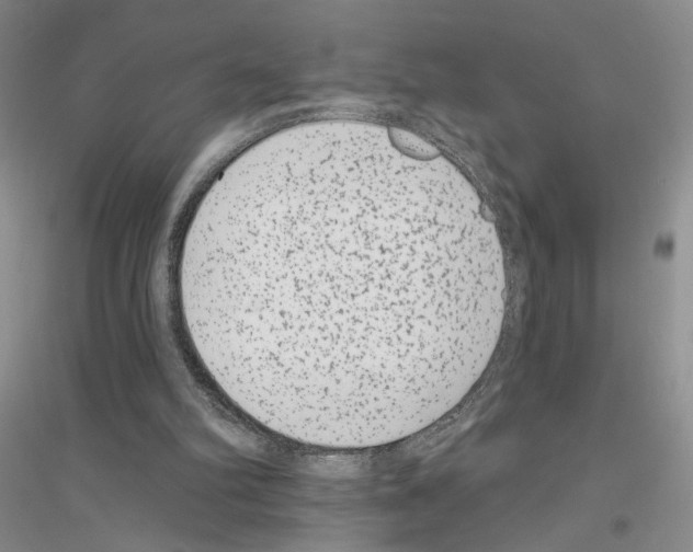 X0000116890102201002021217