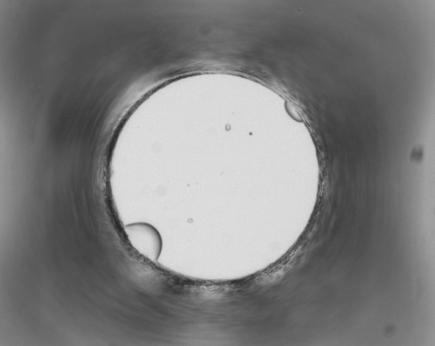 X0000116890103201002021217