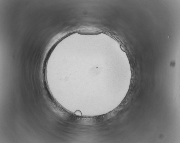 X0000116890104201002021217