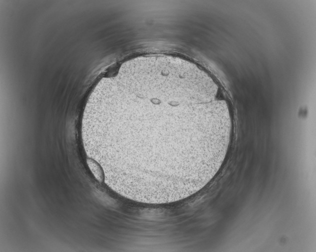 X0000116890105201002021217