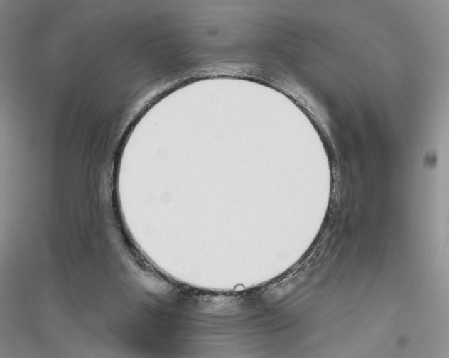 X0000116890107201002021217