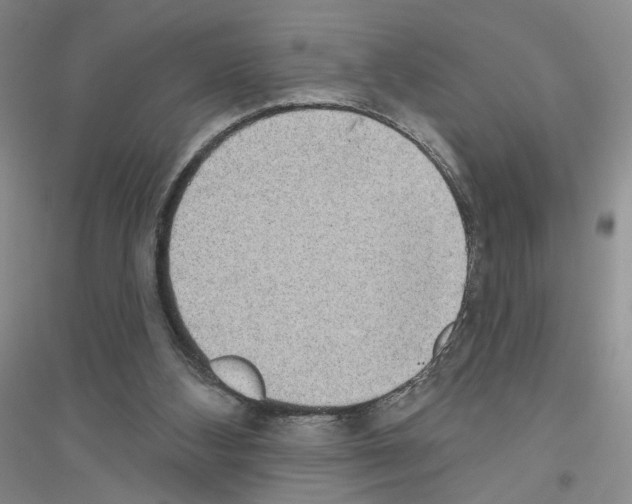 X0000116890108201002021217