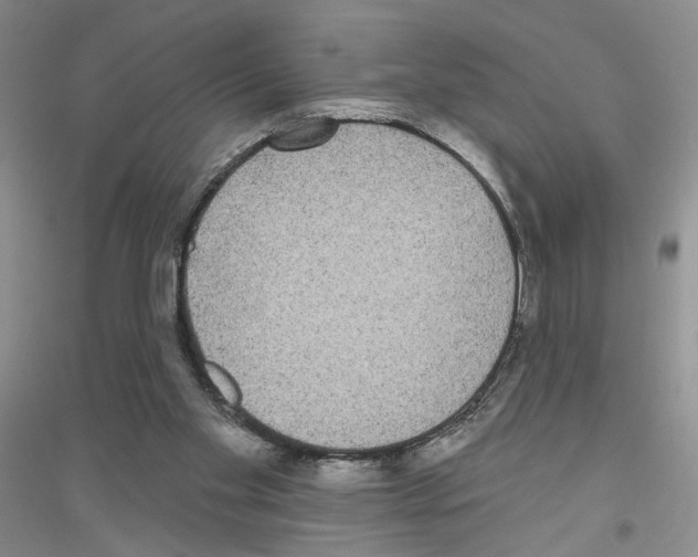 X0000116890109201002021217