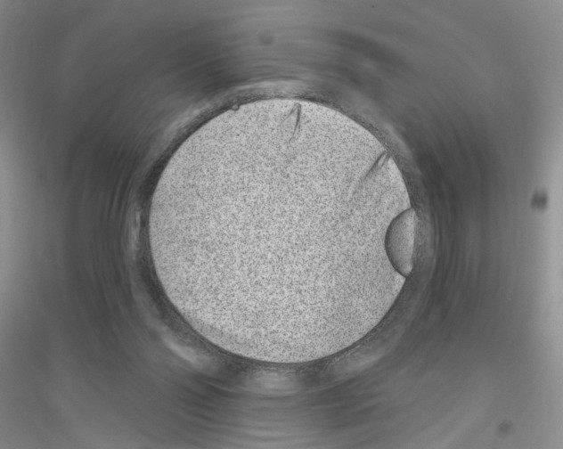 X0000116890110201002021217