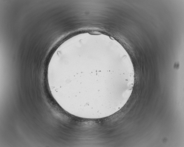 X0000116890112201002021217