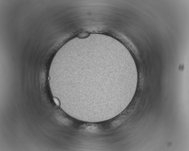 X0000116890113201002021217