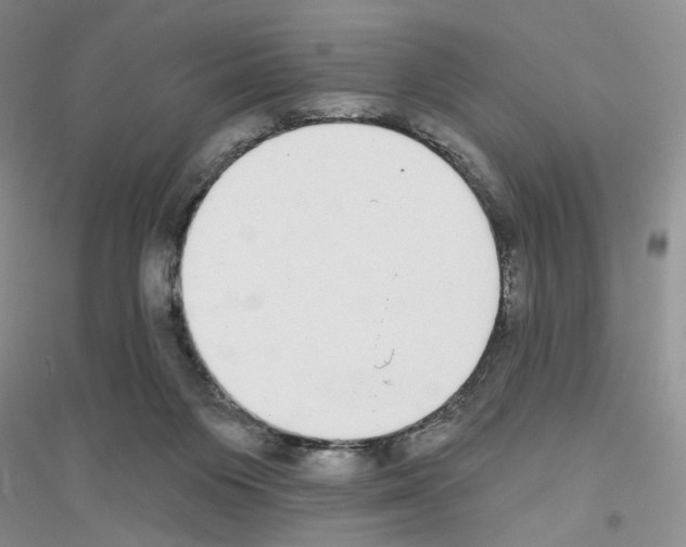 X0000116890119201002021217