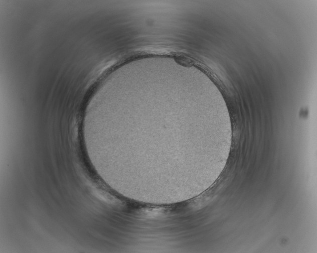 X0000116890120201002021217