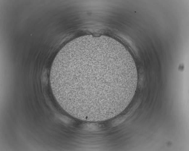 X0000116890121201002021217