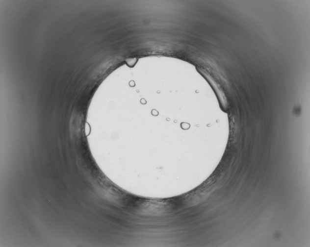 X0000116890123201002021217