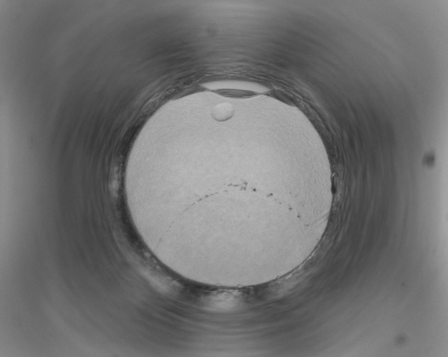 X0000116890124201002021217