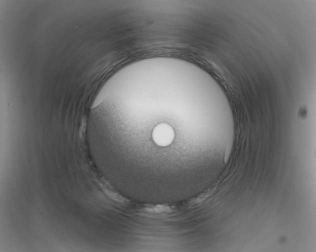 X0000116890125201002021217