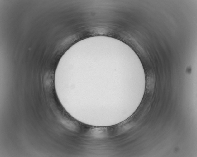 X0000116890126201002021217