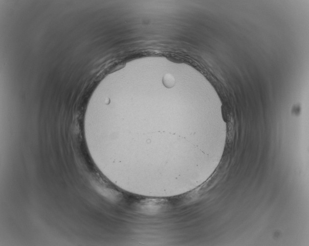 X0000116890128201002021217