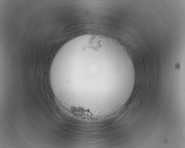 X0000116890129201002021217