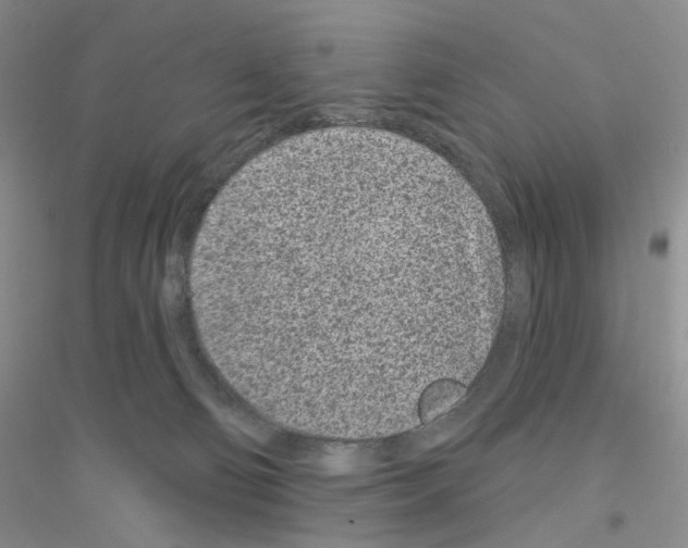 X0000116890130201002021217