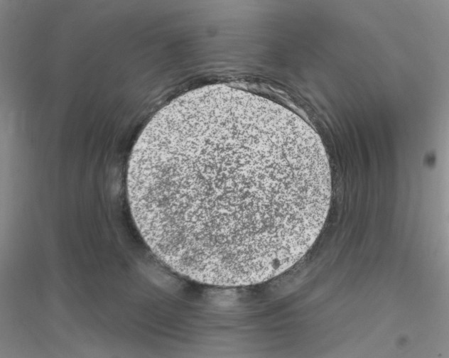 X0000116890131201002021217