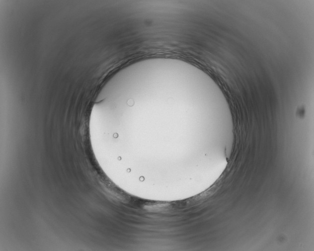 X0000116890132201002021217