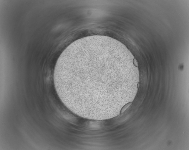 X0000116890134201002021217