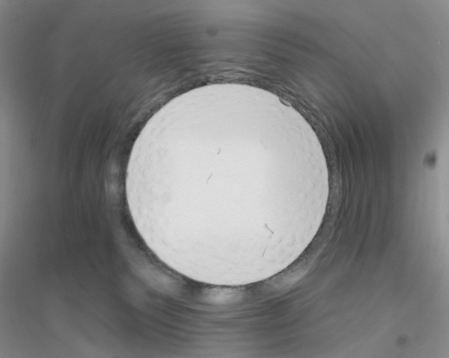 X0000116890135201002021217