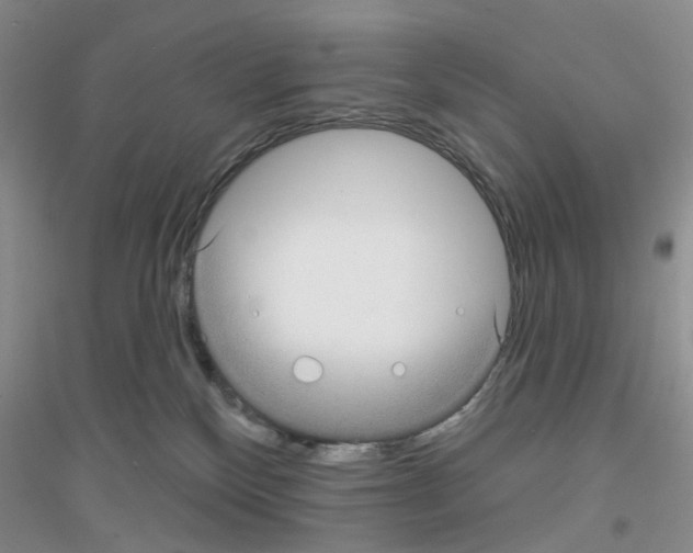 X0000116890136201002021217