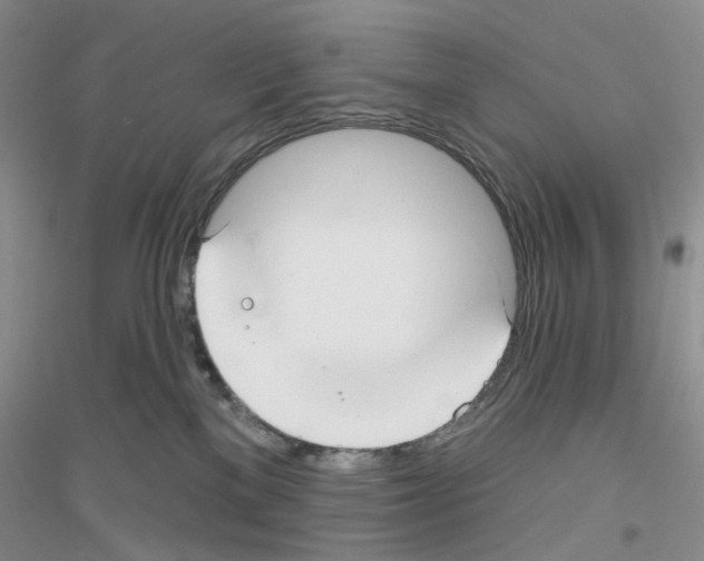 X0000116890137201002021217