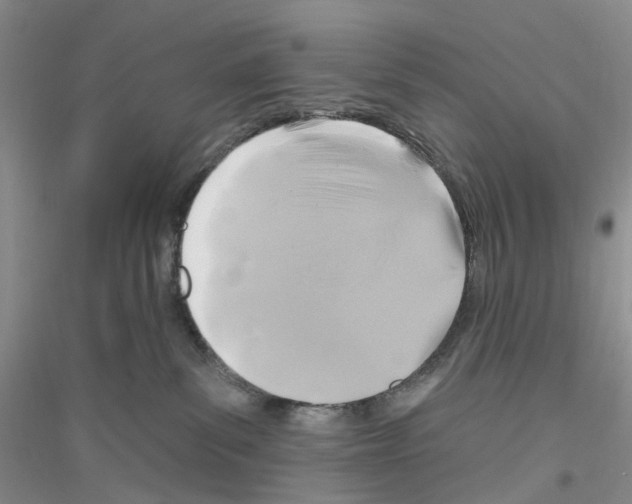 X0000116890139201002021217