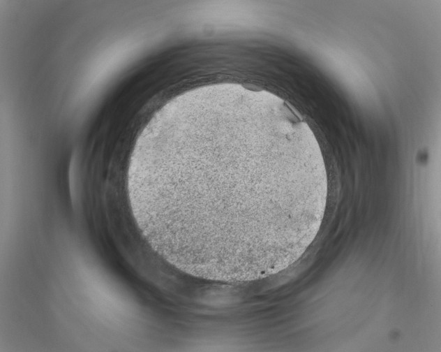 X0000116890140201002021217