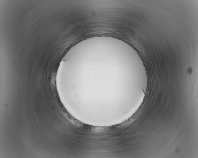 X0000116890141201002021217