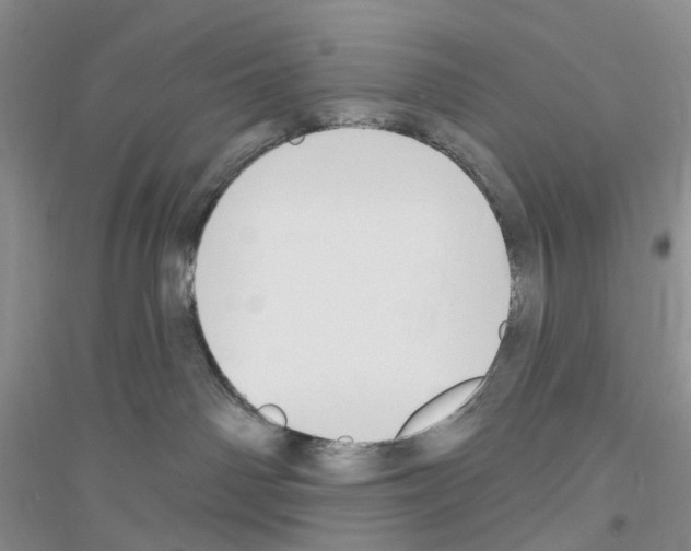 X0000116890142201002021217