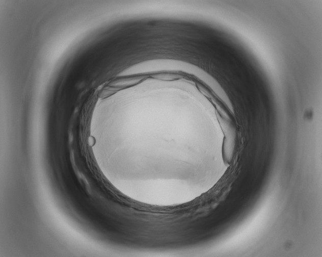 X0000116890143201002021217