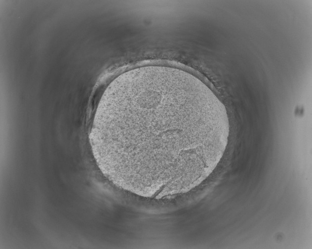 X0000116890144201002021217