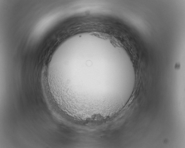 X0000116890146201002021216