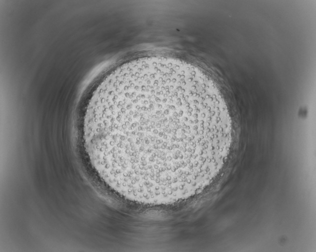 X0000116890149201002021216