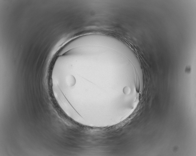 X0000116890150201002021216