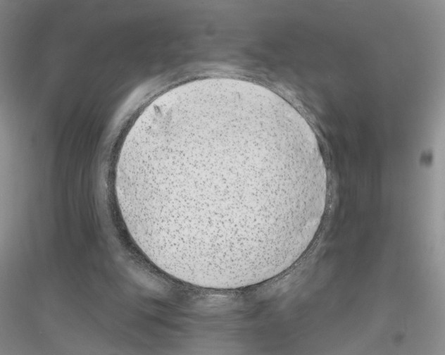 X0000116890151201002021216