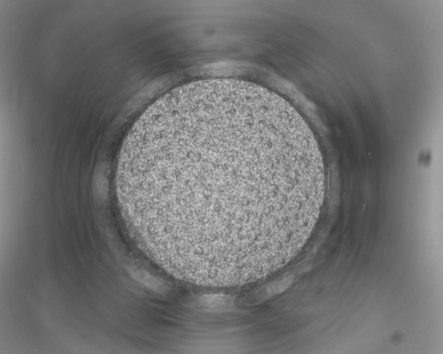 X0000116890153201002021216