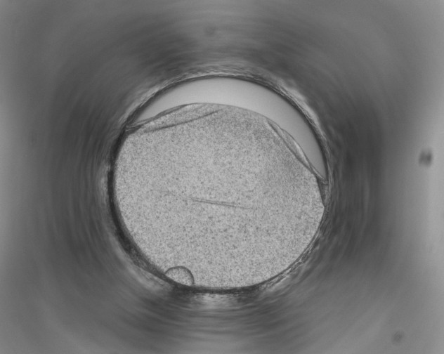 X0000116890154201002021216