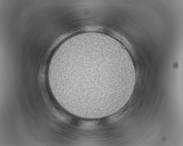 X0000116890155201002021216