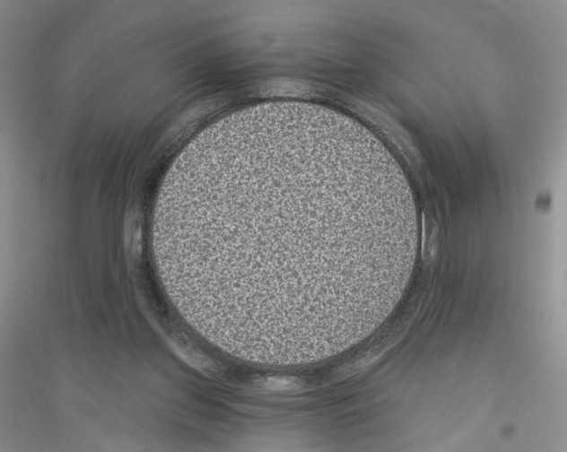 X0000116890157201002021216