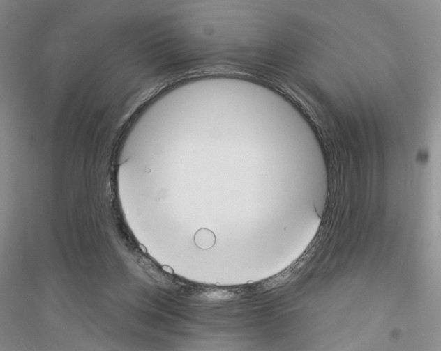 X0000116890158201002021216