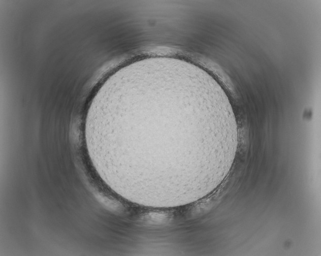 X0000116890159201002021216