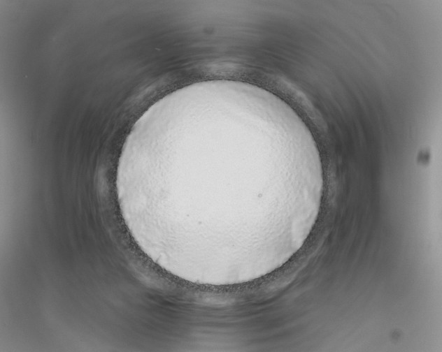 X0000116890161201002021216