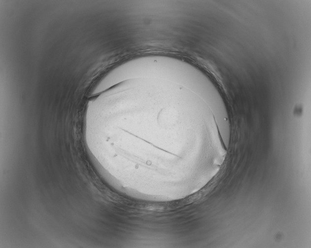 X0000116890162201002021216