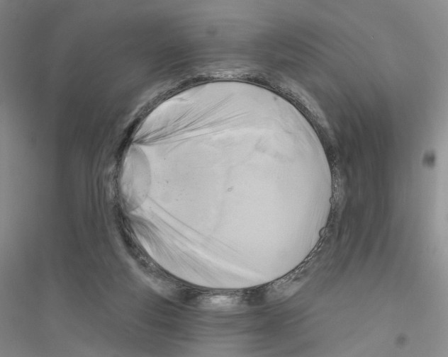 X0000116890163201002021216