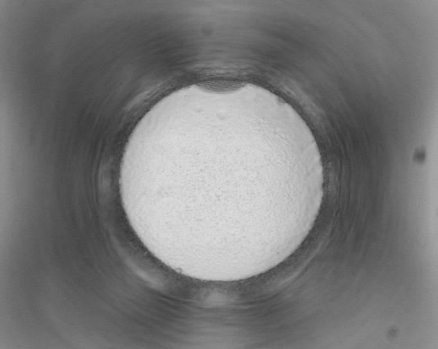 X0000116890165201002021216