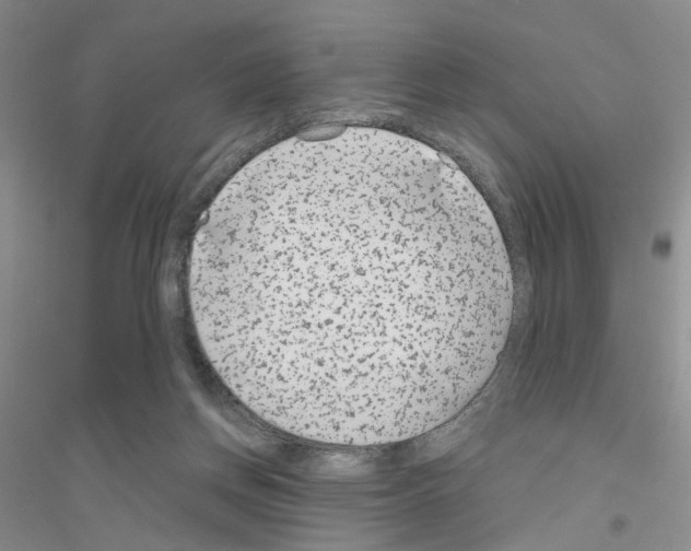 X0000116890166201002021216